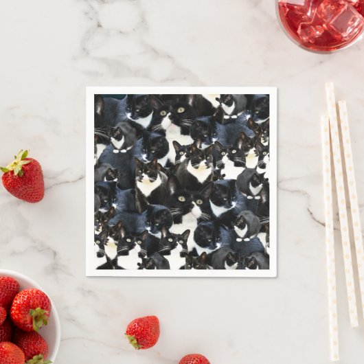 Tuxedo Cat Madness Servet (Insitu)