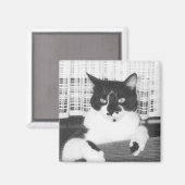 Tuxedo Cat Magneet (Voorkant / Achterkant)