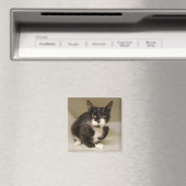 Tuxedo Cat Magnet (Insitu (Vaatwasser))