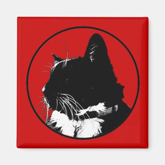 Tuxedo Cat Magnet (Voorkant)