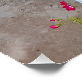 Tuxedo Cat Maroon Dark Pink Cats and Flowers Perfect Poster (Hoek)