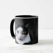 Tuxedo Cat Mok (Voorkant links)