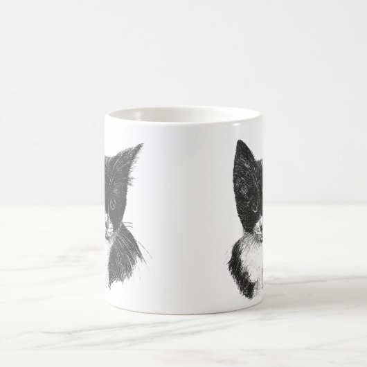 Tuxedo Cat Mok (Center)