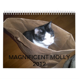 Tuxedo Cat "Molly" Kalender