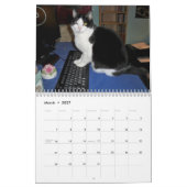 Tuxedo Cat "Molly" Kalender (Mar 2027)