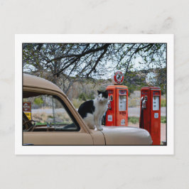 Tuxedo Cat, Museum van het poststation New Mexico Briefkaart