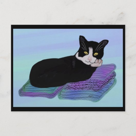 Tuxedo Cat Nap Briefkaarten (Voorkant)
