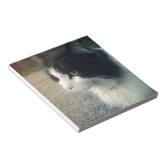 Tuxedo Cat Notitieblok (Schuin)