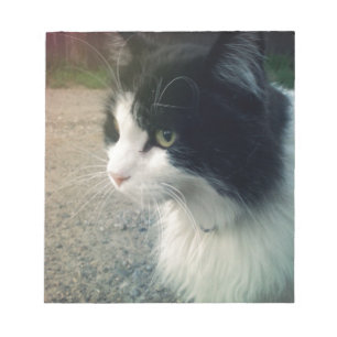 Tuxedo Cat Notitieblok