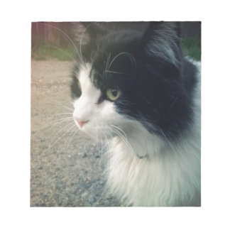Tuxedo Cat Notitieblok