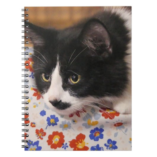 Tuxedo Cat Notitieboek (Voorkant)