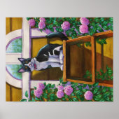 Tuxedo Cat op Ladder Poster (Voorkant)