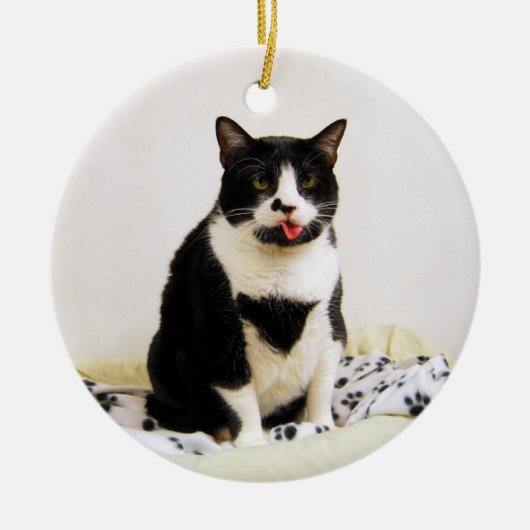 Tuxedo Cat Ornament (Voorkant)
