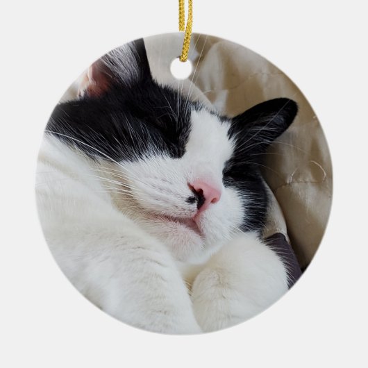 Tuxedo Cat ornament (Voorkant)