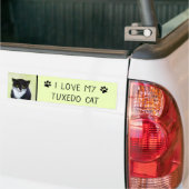 Tuxedo Cat Paining - Kute Original Cat Art Bumpersticker (Op Truck)