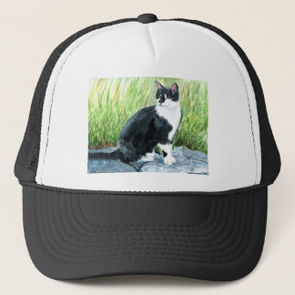 Tuxedo Cat Pet