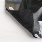Tuxedo Cat Playing with a Tissue Box Muismat (Hoek)