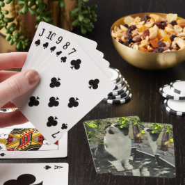 Tuxedo Cat Pokerkaarten