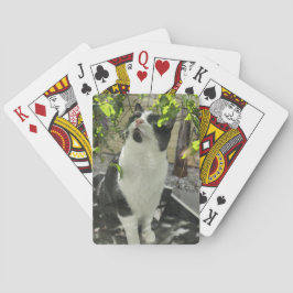 Tuxedo Cat Pokerkaarten