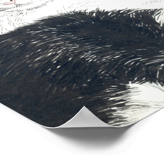 Tuxedo cat poster (Hoek)