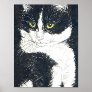 Tuxedo cat poster