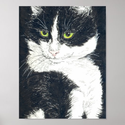 Tuxedo cat poster (Voorkant)