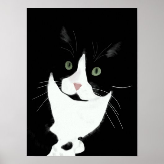 Tuxedo Cat Poster (Voorkant)