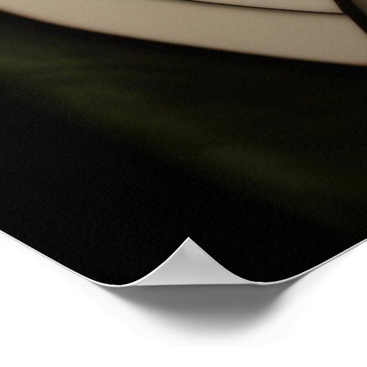 Tuxedo Cat Poster (Hoek)