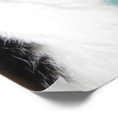 Tuxedo Cat Profile on Blauwgroen Poster (Hoek)