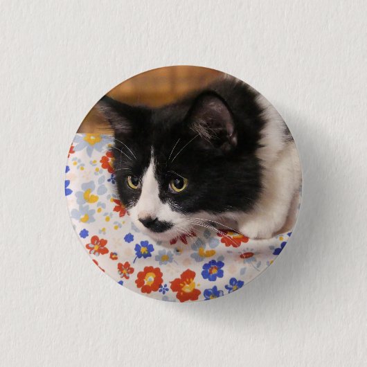 Tuxedo Cat Ronde Button 3,2 Cm (Voorkant)