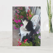 Tuxedo Cat Schattige met  bloemen Bedankkaart (Achterkant)