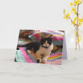 Tuxedo Cat Schattige met  gehaakte tapijt Kaart (Gele Bloem)