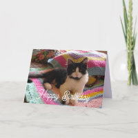 Tuxedo Cat Schattige met gehaakte tapijt Kaart