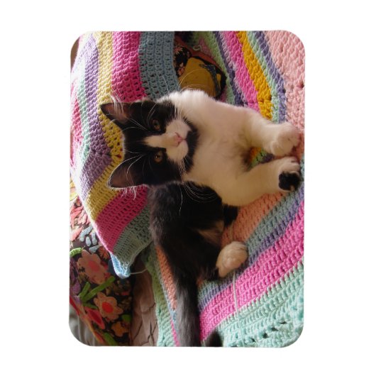 Tuxedo Cat Schattige met  gehaakte tapijt Kaart Magneet (Verticaal)