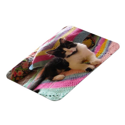 Tuxedo Cat Schattige met gehaakte tapijt Kaart Magneet (Linkerzijde)