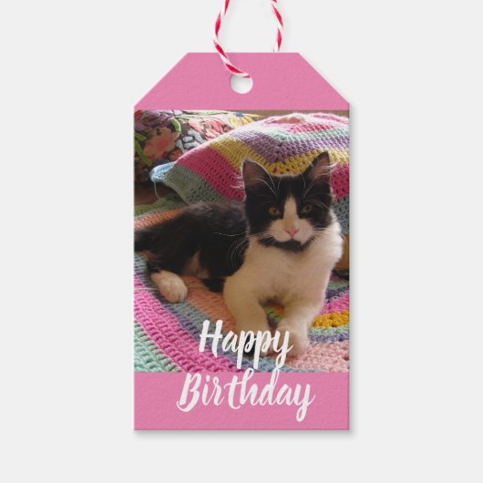 Tuxedo Cat Schattige met  Haakkleed Dank u Cadeaulabel (Voorkant)