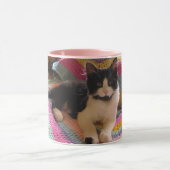 Tuxedo Cat Schattige met Haakkleed Dank u Mok (Midden)