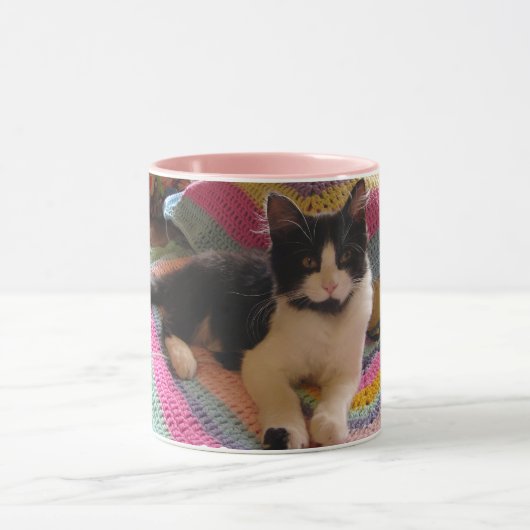 Tuxedo Cat Schattige met Haakkleed Dank u Mok (Midden)