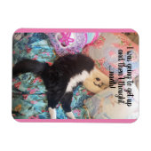 Tuxedo Cat Slapeping Funny Gezegde cats Magnet Magneet (Horizontaal)