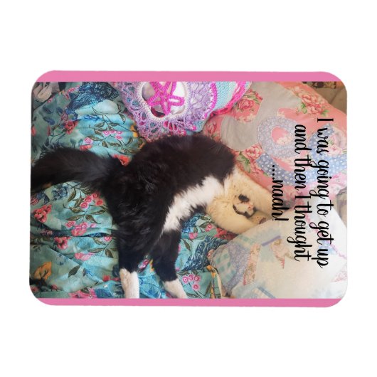 Tuxedo Cat Slapeping Funny Gezegde cats Magnet Magneet (Horizontaal)