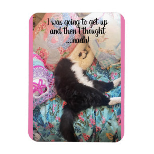 Tuxedo Cat Slaping Funny Gezegde cats Magnet Magneet