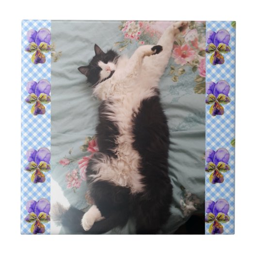 Tuxedo Cat Sleeping Funny Cats Happy Dance Tile Tegeltje (Voorkant)