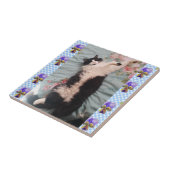 Tuxedo Cat Sleeping Funny Cats Happy Dance Tile Tegeltje (Zijkant)