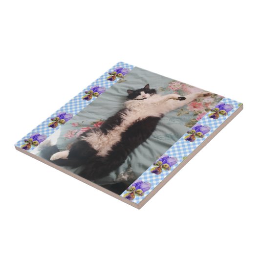 Tuxedo Cat Sleeping Funny Cats Happy Dance Tile Tegeltje (Zijkant)