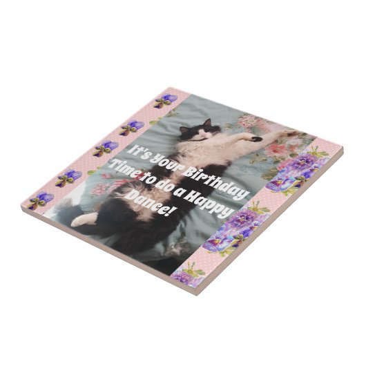 Tuxedo Cat Sleeping Funny Cats Happy Dance Tile Tegeltje (Zijkant)