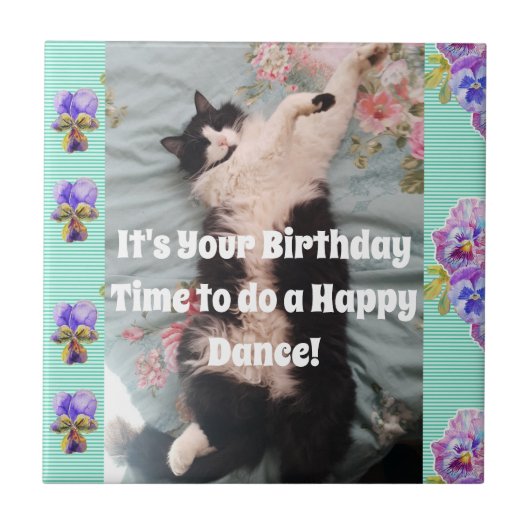 Tuxedo Cat Sleeping Funny Cats Happy Dance Tile Tegeltje (Voorkant)