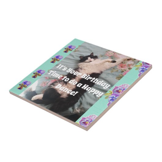 Tuxedo Cat Sleeping Funny Cats Happy Dance Tile Tegeltje (Zijkant)