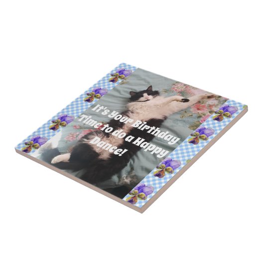 Tuxedo Cat Sleeping Funny Cats Happy Dance Tile Tegeltje (Zijkant)