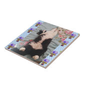 Tuxedo Cat Sleeping Funny Cats viola keramische te Tegeltje (Zijkant)