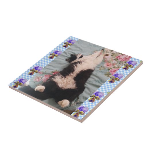 Tuxedo Cat Sleeping Funny Cats viola keramische te Tegeltje (Zijkant)